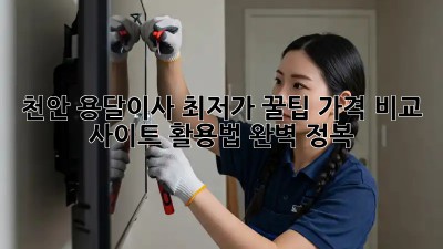 천안 용달이사 최저가 꿀팁! 가격 비교 사이트 활용법 완벽 정복
